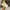 New Balance Streetwear Sneakers Wanita white photo 1
