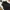 Uniqlo Streetwear Gorpcore Windbreaker Pria black photo 2