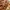 Gucci Luxury Wanita brown photo 6