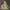 Puma Streetwear Sportswear Hoody Pria yellow photo 4