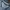 Minimalist Casual Track jacket Pria gray photo 5