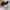 Oakley Gorpcore Casual Pria black photo 1