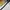 Oakley Gorpcore Casual Pria black photo 6