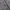 Gorpcore Minimalist Hoody Pria gray photo 4