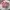 Prada Vintage Luxury Wanita pink photo 2