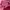 Prada Vintage Luxury Wanita pink photo 5