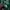 Japanese brand Vintage Streetwear T-shirt Pria green photo 6