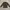 Montblanc Minimalist Casual T-shirt Pria brown photo 1