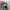 Puma Casual Sneakers Wanita green pink photo 5
