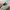 Puma Casual Sneakers Wanita green pink photo 2