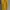 Forever 21 Casual Shirt dress Wanita yellow photo 1