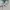 Tommy Hilfiger Luxury Polo shirt Pria gray photo 2