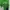 Tommy Hilfiger Luxury Polo shirt Pria white green photo 1