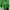 Tommy Hilfiger Luxury Polo Shirt Pria White Green