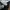 Nike Streetwear Sportswear Bomber jacket Pria white black photo 3