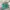 Marni Minimalist Tote bag Wanita multicolor photo 2