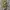 Miu Miu Vintage Y2K Shoulder bag Wanita tan photo 5