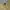 Polo Ralph Lauren Vintage Y2K Suit Pria yellow photo 2