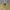 Polo Ralph Lauren Vintage Y2K Suit Pria Yellow