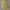 Polo Ralph Lauren Vintage Y2K Suit Pria yellow photo 5