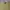Polo Ralph Lauren Vintage Y2K Suit Pria yellow photo 3