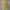 Polo Ralph Lauren Vintage Y2K Suit Pria yellow photo 1
