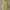 Polo Ralph Lauren Vintage Y2K Suit Pria Yellow