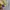 Polo Ralph Lauren Vintage Y2K Suit Pria yellow photo 4