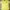 Harley Davidson Vintage Biker T-shirt Pria Yellow