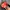 Y2K Grunge Hat Pria black orange photo 4