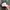 Y2K Goth Hat Wanita pink photo 3