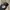 Streetwear Y2K Hat Pria black blue photo 6