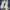 Adidas Casual Sneakers Pria white photo 1