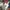 Adidas Casual Sneakers Pria white photo 5