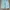 VANS Skater Casual Short Pria green photo 4