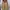 Uniqlo Vintage Casual Puffer jacket Kids tan photo 2