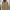 Uniqlo Vintage Casual Puffer Jacket Kids Tan
