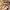 Uniqlo Vintage Casual Puffer jacket Kids tan photo 6