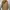 Uniqlo Vintage Casual Puffer jacket Kids tan photo 7