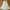 Vintage Midi dress Wanita black photo 4