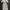 Casual Going out dress Wanita white photo 1