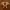 Timberland Casual Boots Pria tan photo 3