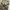 Gorpcore Biker Tracksuit Pria green khaki photo 5
