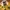 Canterbury Casual Jersey Kids yellow photo 3