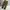 Streetwear Gorpcore Tracksuit Pria green photo 3