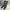 Streetwear Gorpcore Tracksuit Pria green photo 1