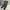 Streetwear Gorpcore Tracksuit Pria Green