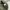 Streetwear Gorpcore Tracksuit Pria green photo 7