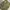 Streetwear Gorpcore Tracksuit Pria green photo 8