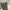 Streetwear Gorpcore Tracksuit Pria green photo 4